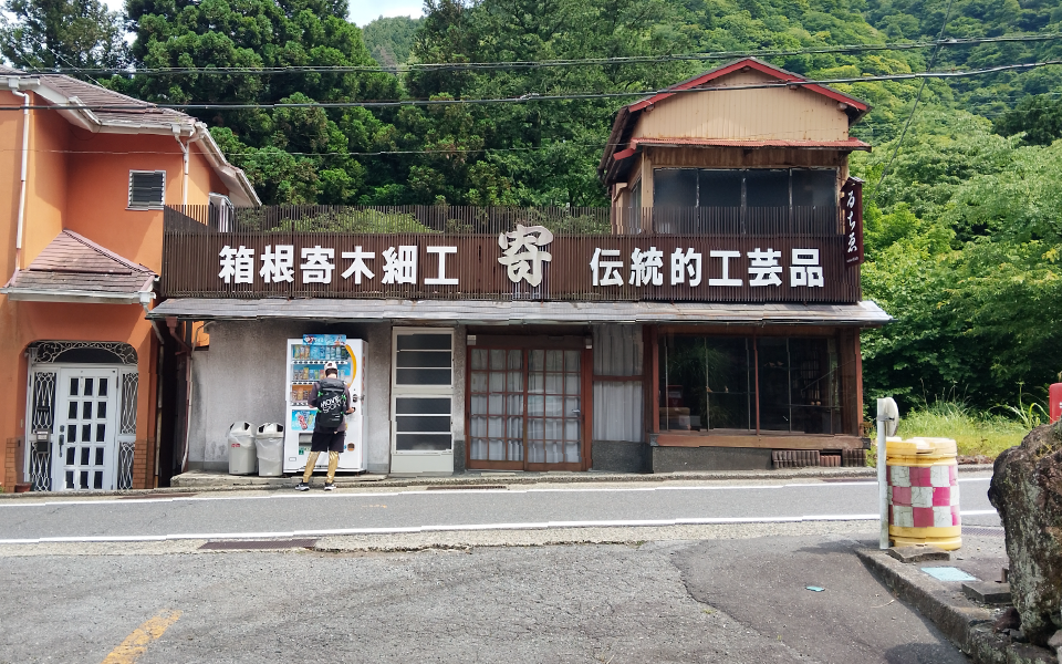 るちゑのやどりぎ